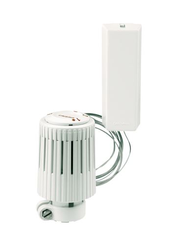 GIACOMINI R462 Termostatická hlava kapalinová, s odděleným čidlem M.2 (R462X002)