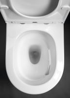 SAPHO AVIS WC kombi mísa, Vortex Rimless, 66x36 cm, spodní/zadní odpad, bílá (PC106-111) (3)