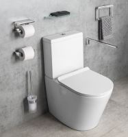 Gedy PIRENEI WC štětka závěsná, chrom/sklo satin (6)