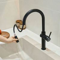 REA Dřezová baterie FRESH vysoká, Black (REA-B7200) (3)