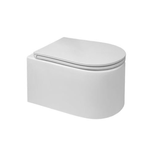 Mereo WC závěsné kapotované, RIMLESS, 495x360x370, keramické, vč. sedátka CSS113S (VSD84S1)